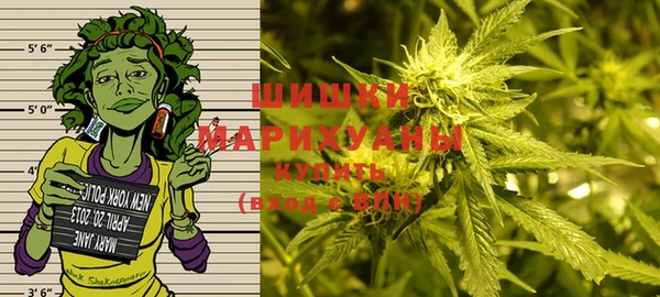 дживик Надым