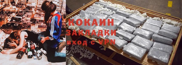 дживик Надым
