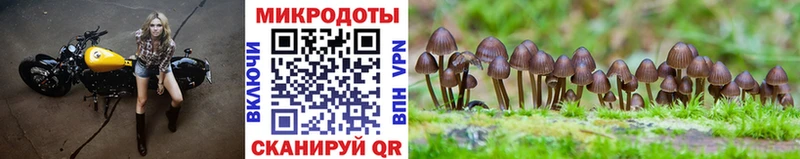 хочу наркоту  Минусинск  Галлюциногенные грибы MAGIC MUSHROOMS 