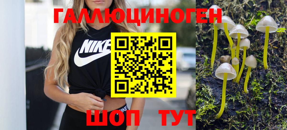 Галлюциногенные грибы мицелий Минусинск