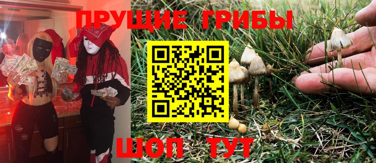 Галлюциногенные грибы Cubensis Минусинск