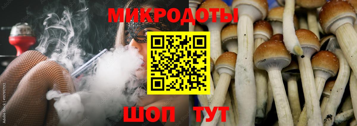 как найти   Вход с VPN  Галлюциногенные грибы GOLDEN TEACHER  Минусинск  Псилоцибиновые грибы мицелий 