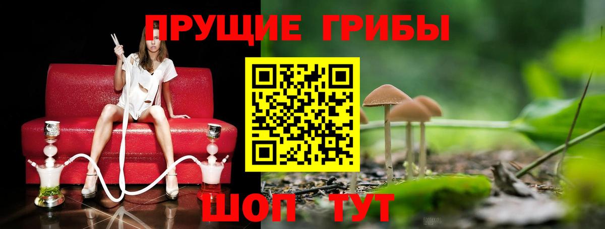 Псилоцибиновые грибы мицелий  Минусинск 